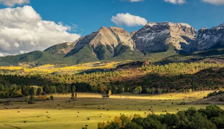 land-in-colorado-revasa-land
